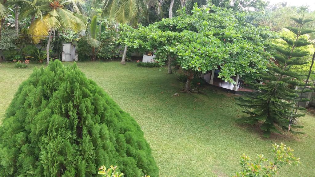 4 Seasons Guesthouse Хіккадува Екстер'єр фото